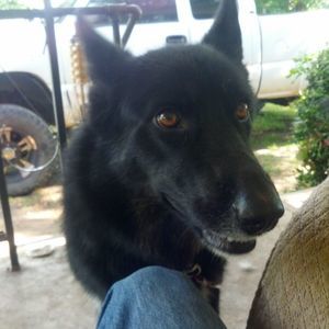 Meet your Posher, Kym